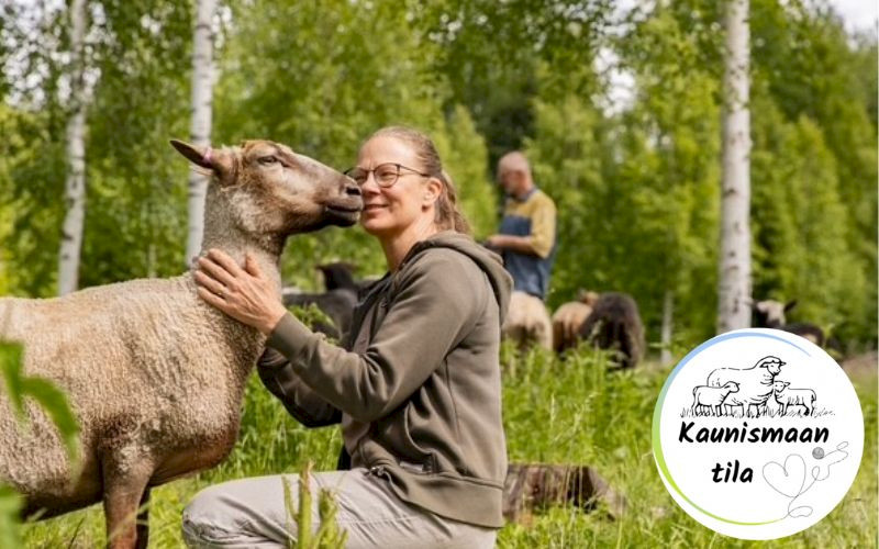 Kaunismaan tila