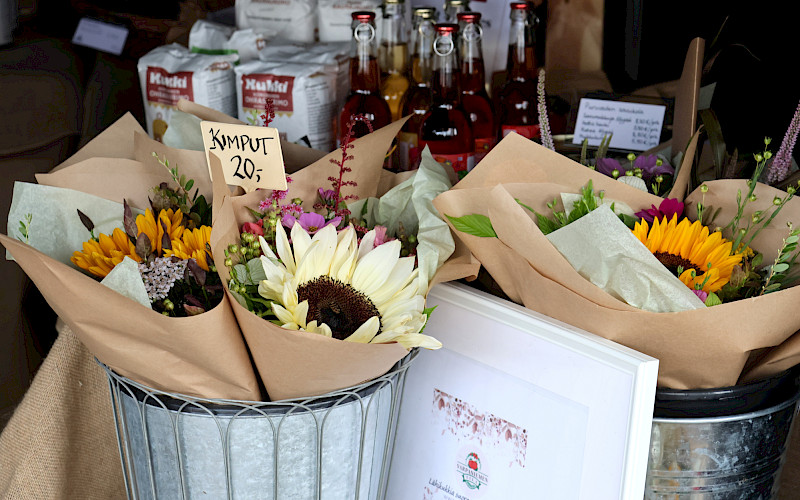 Taste Savo popup matkaa Tahko Luontofestiin!