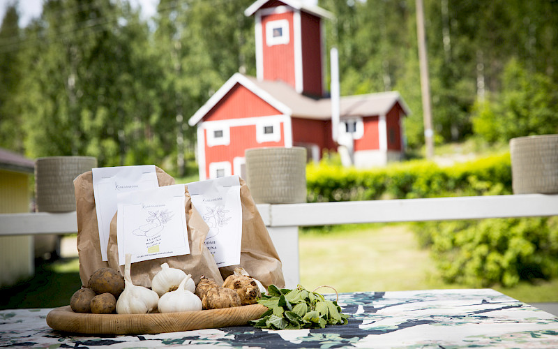 Kuva: Pohjois-Savon Agri-Food klusterin kuva-pankki